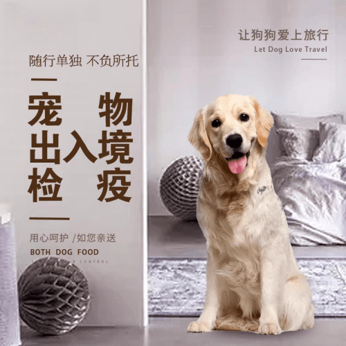 吉安市宠物托运到哥伦比亚猫狗宠物入境规定和