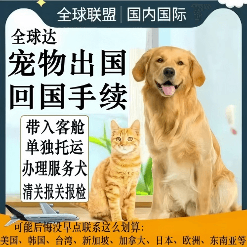 吉安市宠物托运到柬埔寨宠物入境规定和要求
