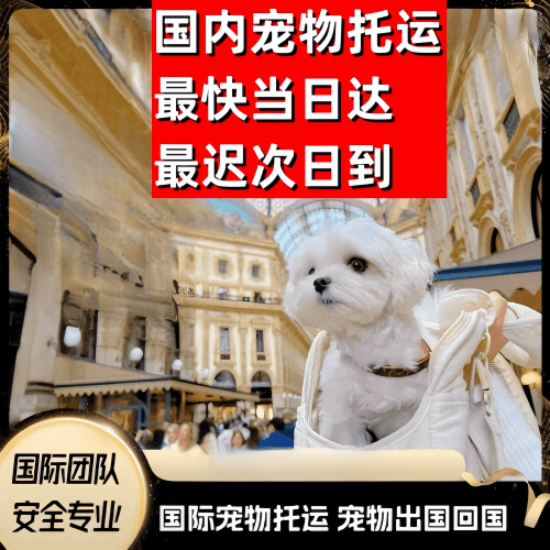 吉安市到澳大利亚（澳洲）宠物入境规定和要求