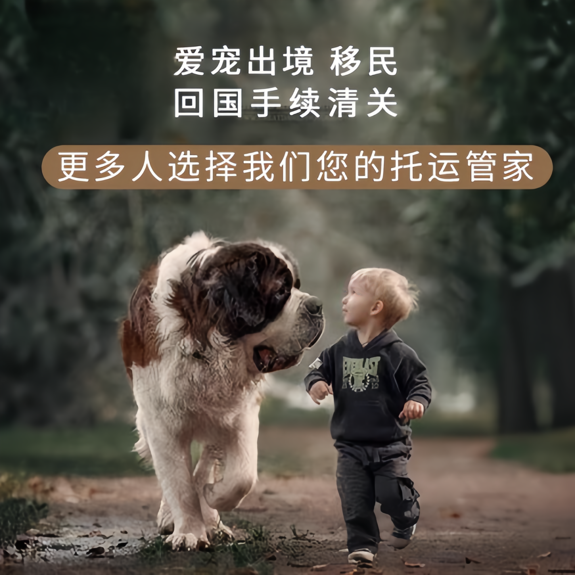 满财吉安市宠物全球达宠物托运在遵守入境目的地政策的条件