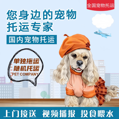 满财吉安市宠物全球达宠物托运作为专业的宠物运输代理机构